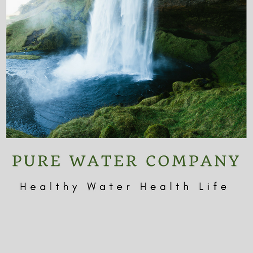 Pure Water Company
