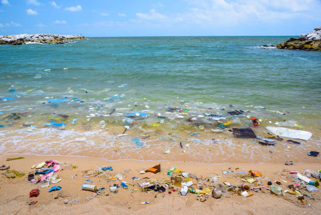 The Plastic Ocean -Discarded Plastic Bottles Take Years Degrade and Affect Sea Life and Food Source